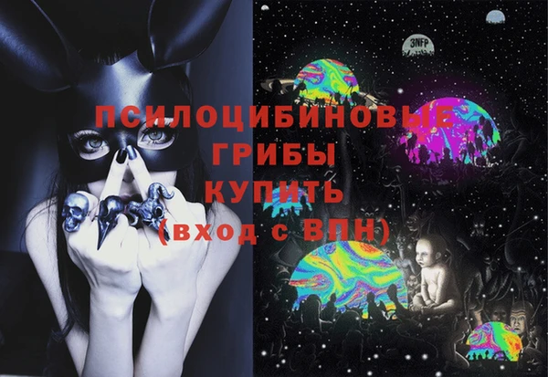индика Янаул