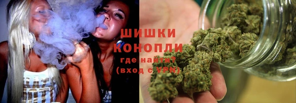ПСИЛОЦИБИНОВЫЕ ГРИБЫ Заволжск